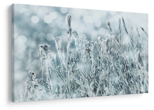 Kép - Téli varázslat (90x60 cm)