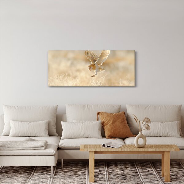 Kép - Bagoly (120x50 cm)