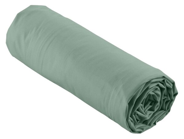 Zöld gumis pamut-perkál lepedő 160x200 cm Percaline – douceur d'intérieur