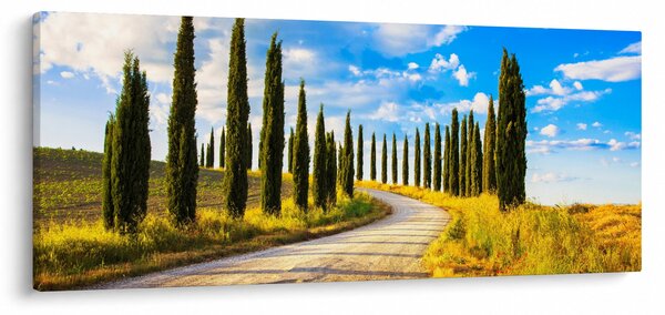 Kép - Táj (120x50 cm)