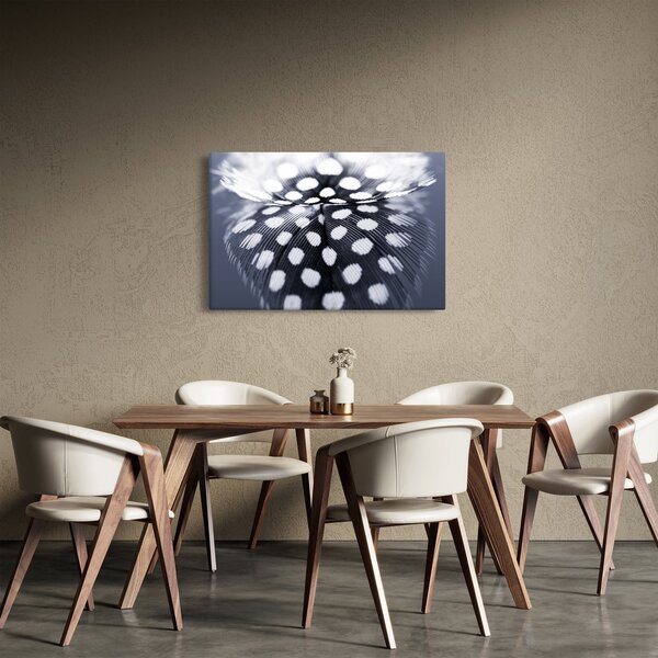Kép - Toll (90x60 cm)