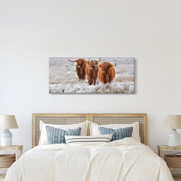 Kép - Skót tehenek (120x50 cm)