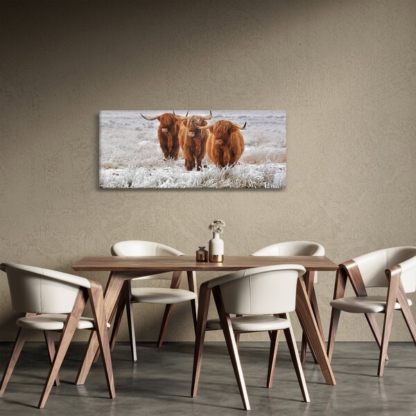 Kép - Skót tehenek (120x50 cm)