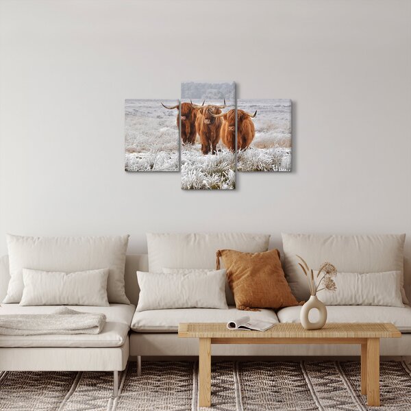 Kép - Skót tehenek (90x60 cm)
