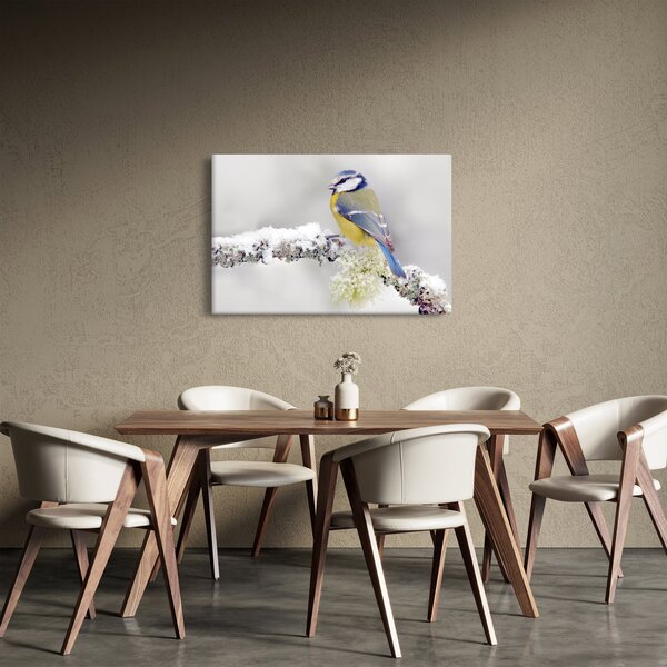 Kép - Cinege (90x60 cm)