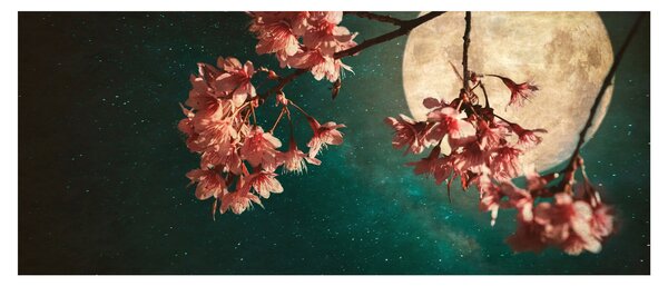 Kép - Sakura teliholdkor (120x50 cm)