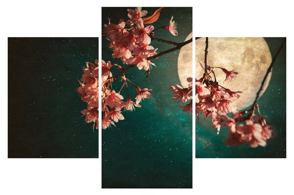 Kép - Sakura teliholdkor (90x60 cm)