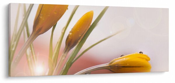 Kép - Tavaszi virágok (120x50 cm)