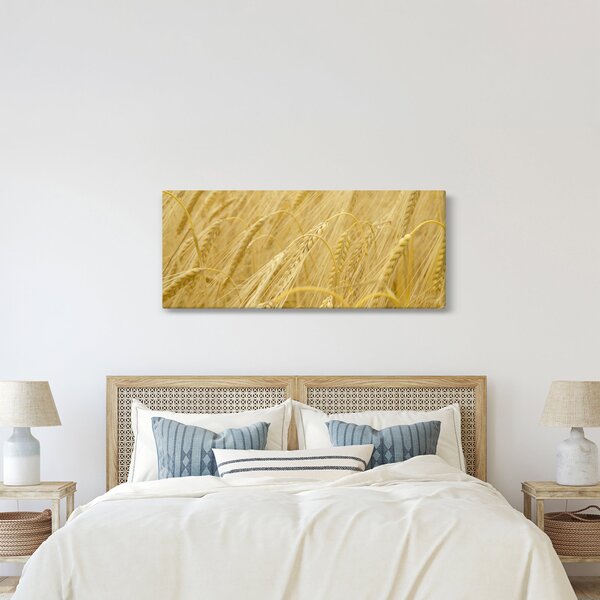 Kép - Árpa (120x50 cm)