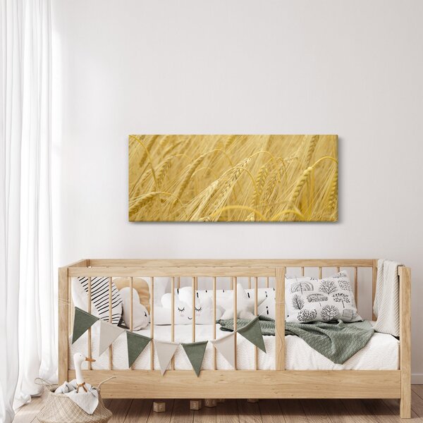 Kép - Árpa (120x50 cm)