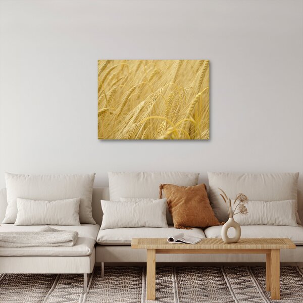 Kép - Árpa (70x50 cm)