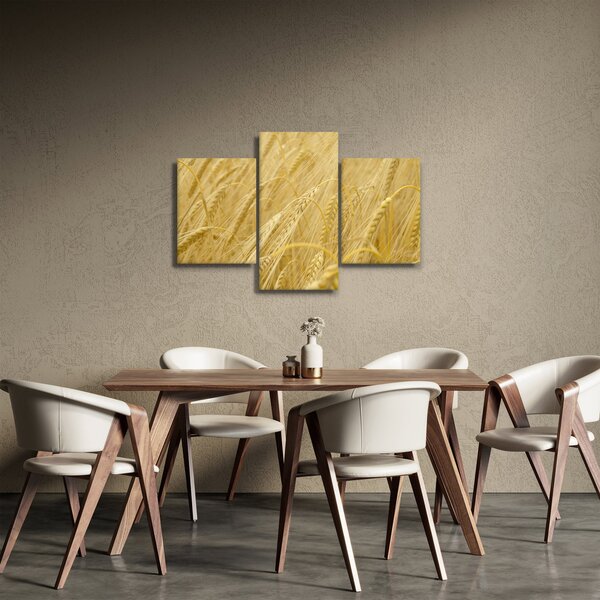 Kép - Árpa (90x60 cm)