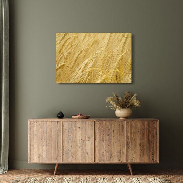 Kép - Árpa (90x60 cm)
