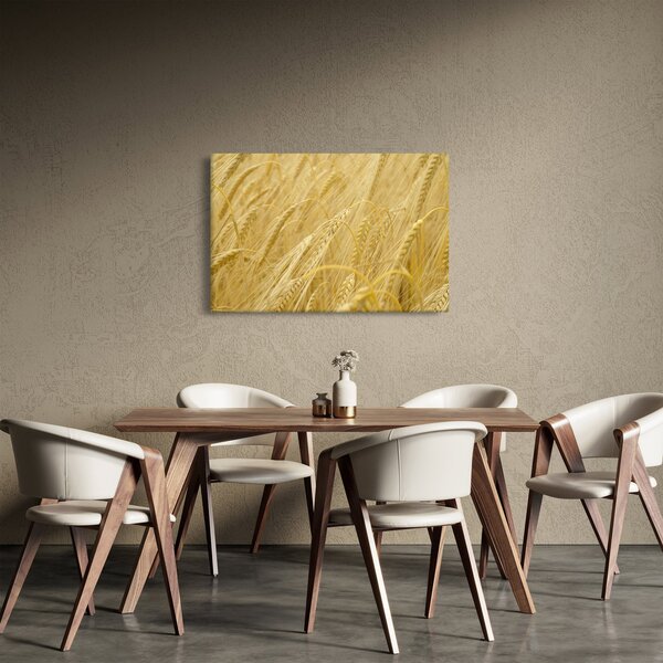 Kép - Árpa (90x60 cm)