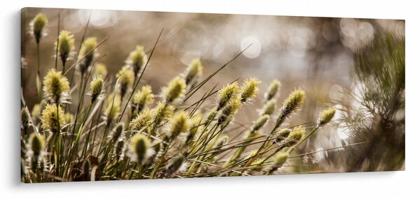 Kép - Zöld növényzet (120x50 cm)