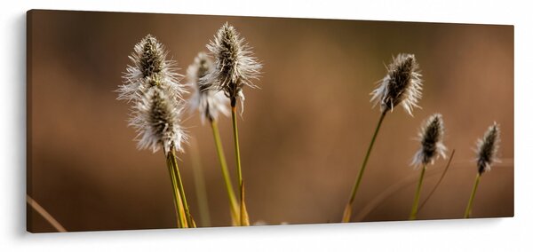 Kép - Fű (120x50 cm)