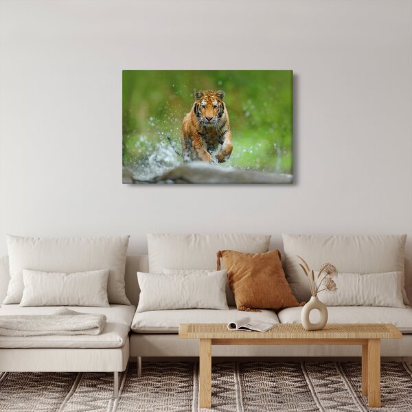 Kép - Futó tigris (90x60 cm)