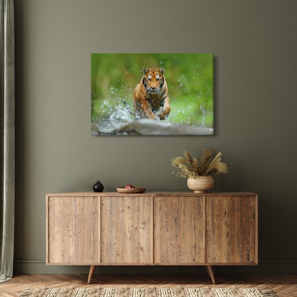Kép - Futó tigris (90x60 cm)