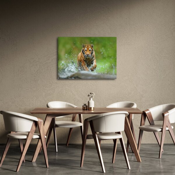 Kép - Futó tigris (70x50 cm)
