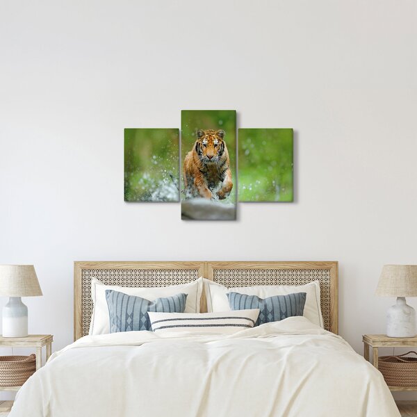 Kép - Futó tigris (90x60 cm)
