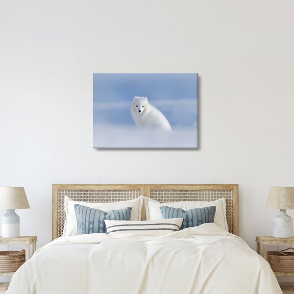 Kép - Sarki róka (70x50 cm)