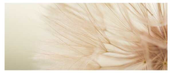 Kép - Virág részletek (120x50 cm)