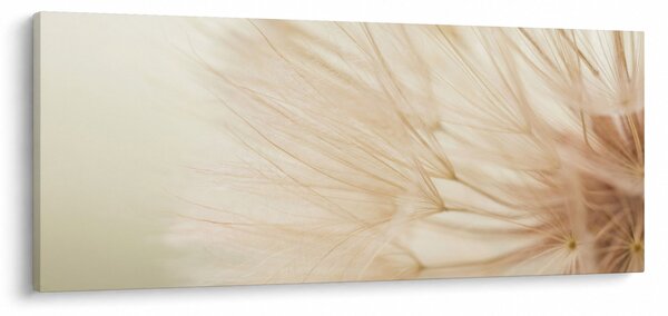 Kép - Virág részletek (120x50 cm)