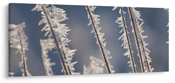 Kép - Fagy (120x50 cm)