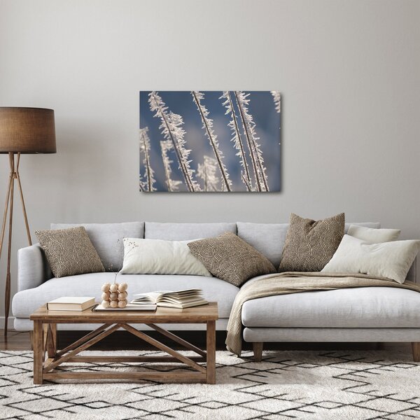 Kép - Fagy (70x50 cm)