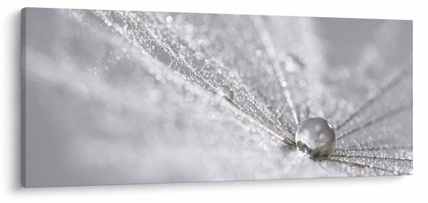Kép - Egy csepp víz (120x50 cm)