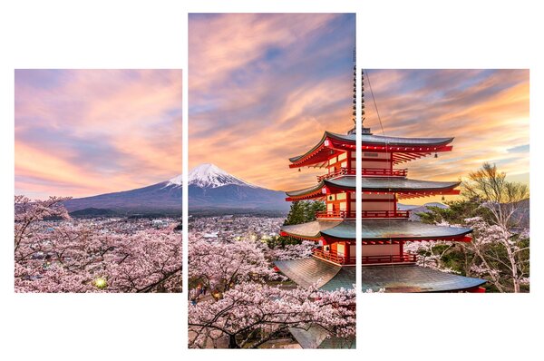 Kép - Fuji, Japán (90x60 cm)