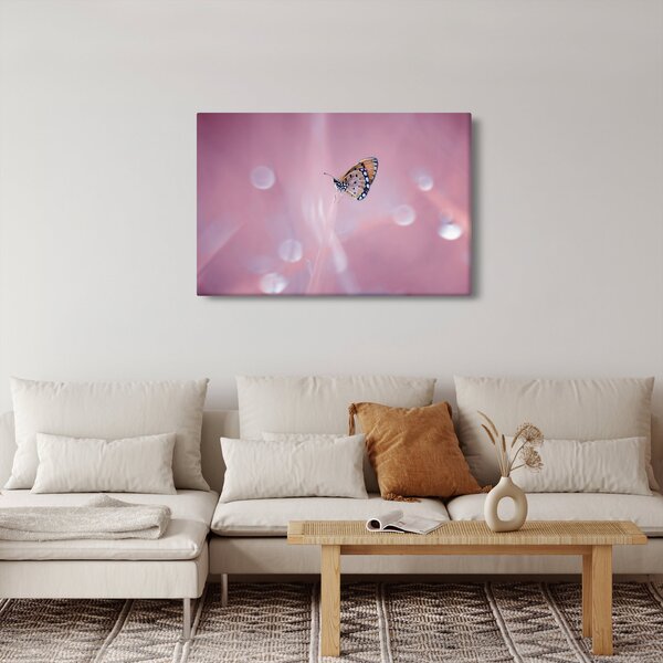 Kép - Pillangó (90x60 cm)