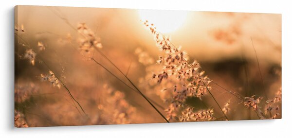 Kép - Fű a napon (120x50 cm)