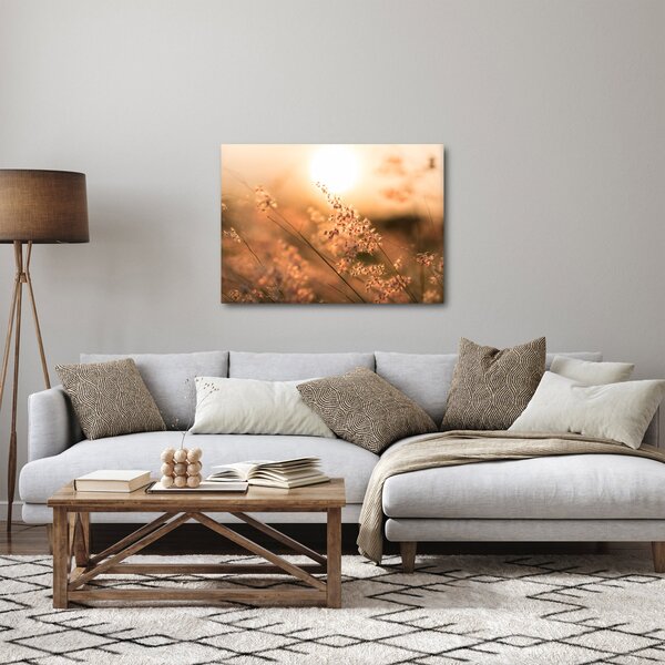 Kép - Fű a napon (70x50 cm)