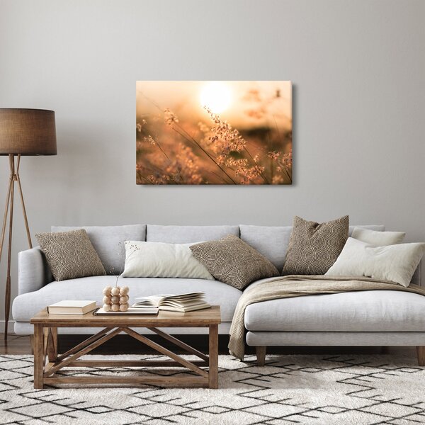 Kép - Fű a napon (90x60 cm)