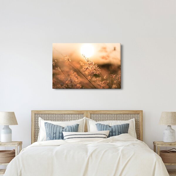 Kép - Fű a napon (90x60 cm)