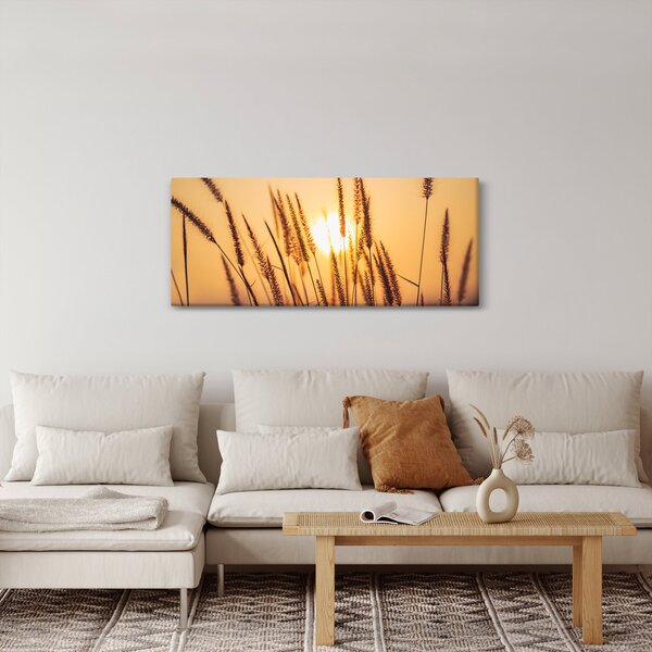 Kép - Füvek a napon (120x50 cm)