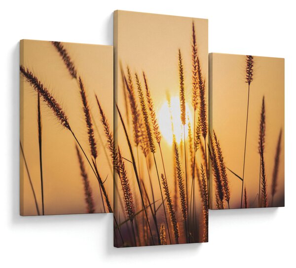 Kép - Füvek a napon (90x60 cm)