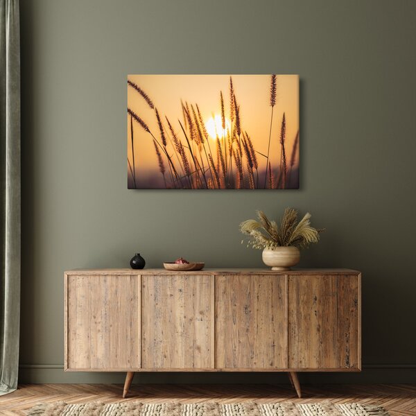 Kép - Füvek a napon (90x60 cm)