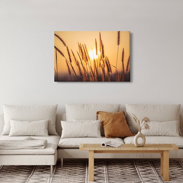 Kép - Füvek a napon (90x60 cm)