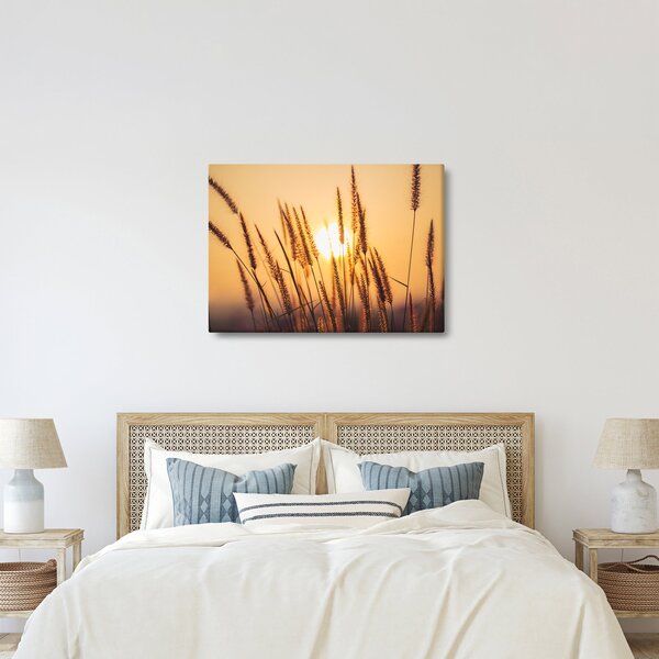 Kép - Füvek a napon (70x50 cm)