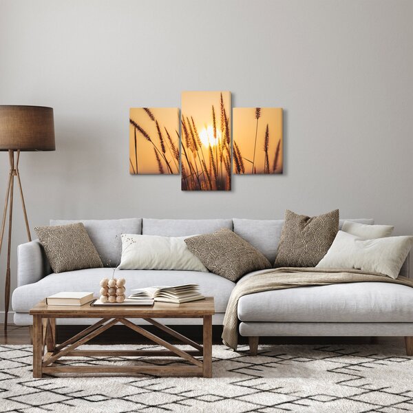 Kép - Füvek a napon (90x60 cm)