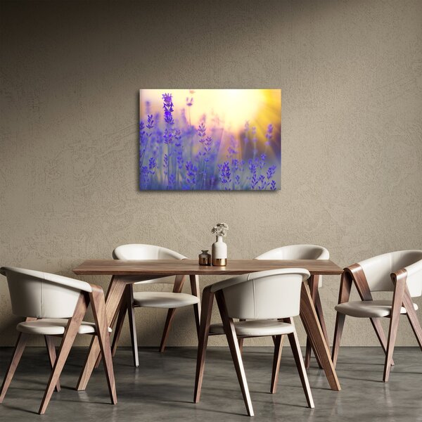 Kép - Levendula (70x50 cm)