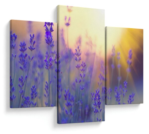 Kép - Levendula (90x60 cm)