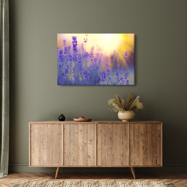 Kép - Levendula (90x60 cm)