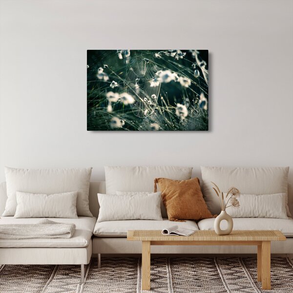 Kép - Pókháló (90x60 cm)