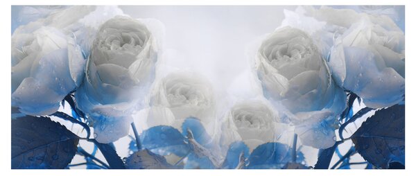 Kép - Fehér rózsa (120x50 cm)