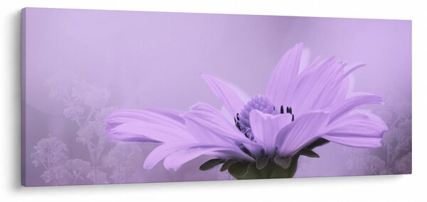 Kép - Ibolya virág (120x50 cm)