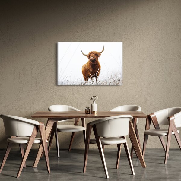 Kép - Skót tehén (90x60 cm)