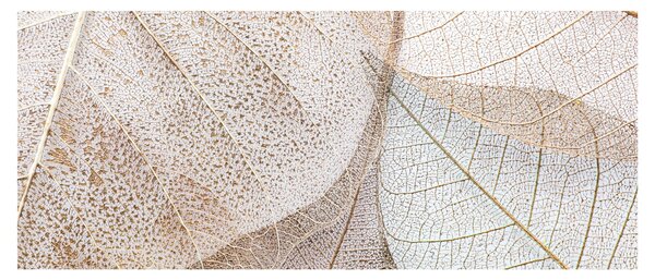 Kép - Bézs levelek (120x50 cm)